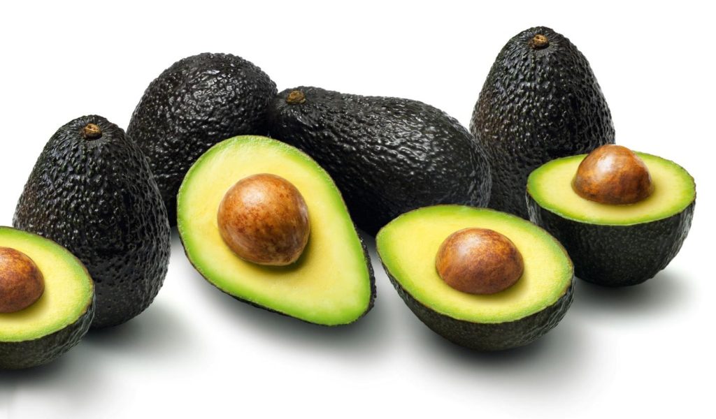 avocado hass2