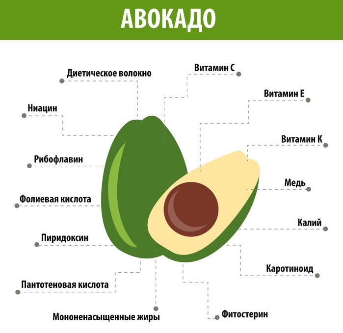 Химический состав авокадо - ИзАвокадо.РУ