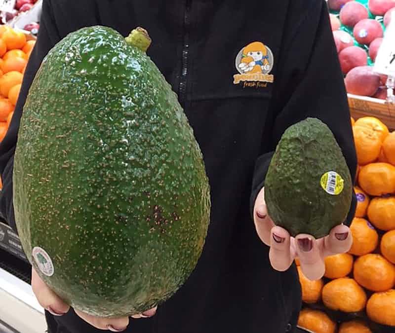 Сколько весит авокадо - ИзАвокадо.РУ